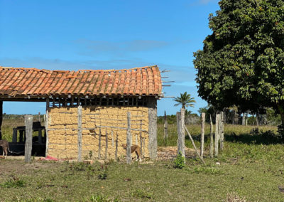 aldeia-mae-barra-velha-pataxo-1